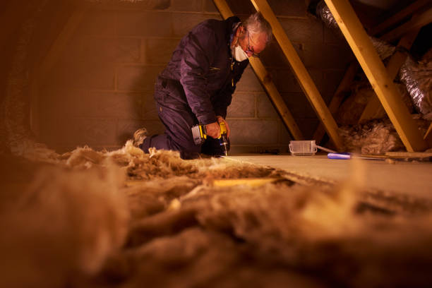 Eco-Friendly or Green Insulation Solutions in Smithfield, VA